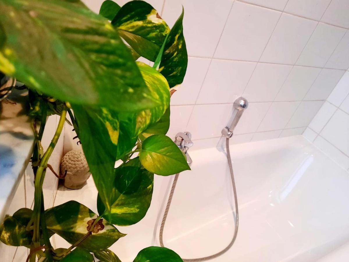 Appartement Ambiance Chalet リエージュ エクステリア 写真